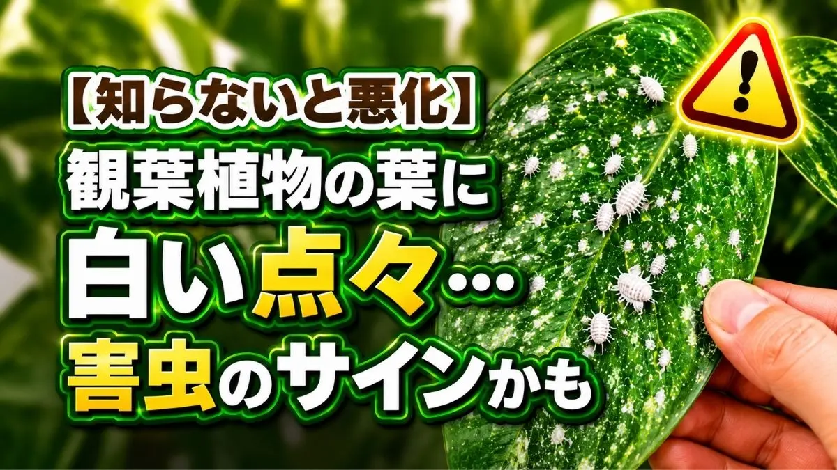 観葉植物の葉に白い点々と白い虫が発生しているイメージ｜害虫被害のサインや危険な症状を解説