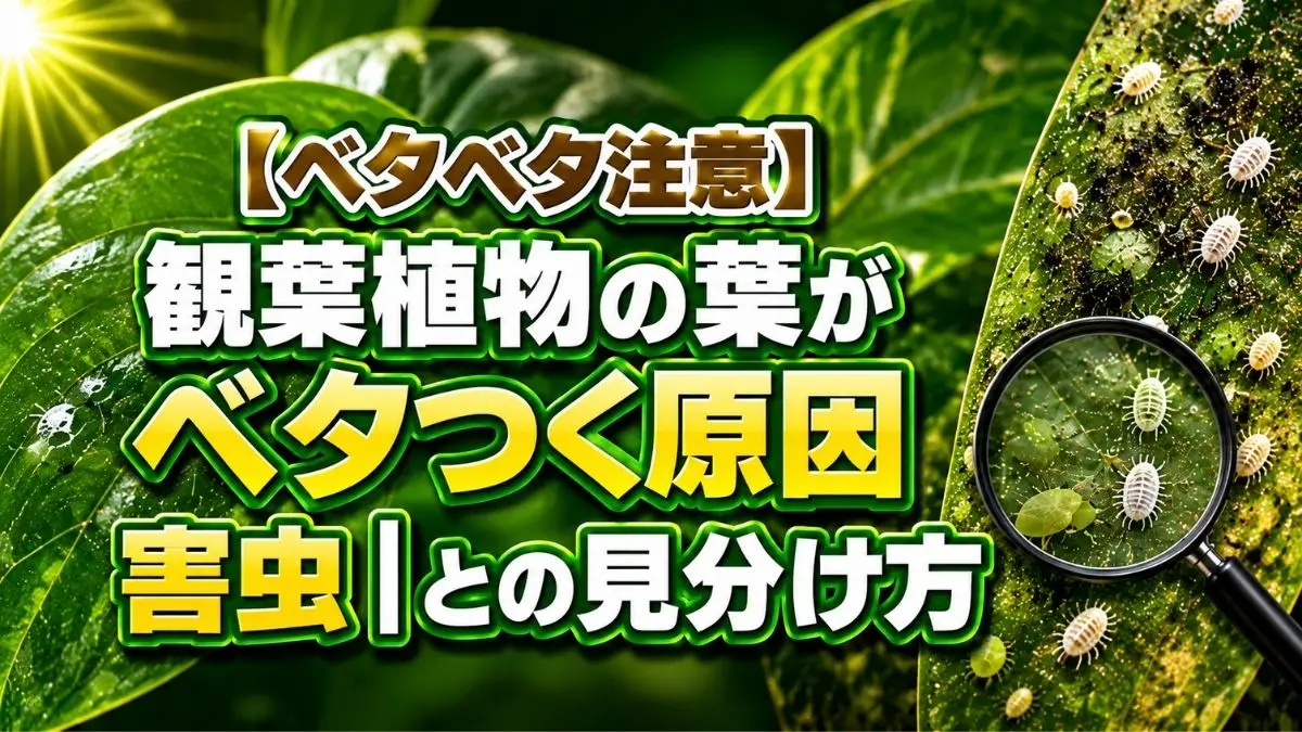 観葉植物の葉がベタつく原因を、害虫の拡大表示とともに比較しながら解説しているアイキャッチ画像