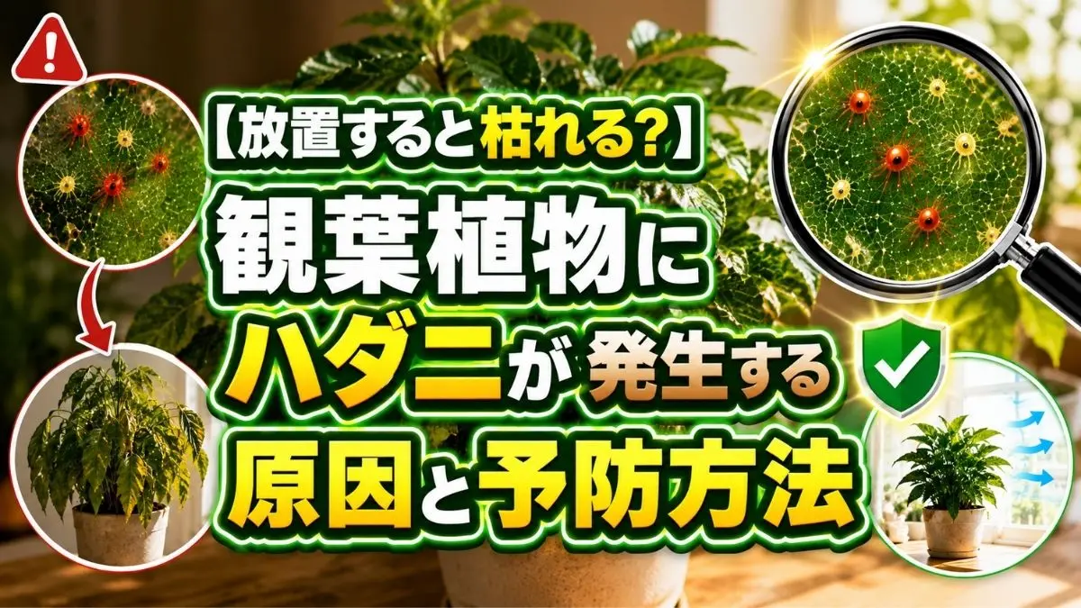 観葉植物に発生したハダニ被害の症状と、枯れる前に見直したい予防方法をまとめたアイキャッチ画像