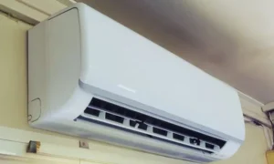 暖房・エアコンの乾燥で葉が落ちるケースもある