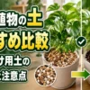 観葉植物の粒状土と有機質入り培養土を比較した室内向け用土の選び方
