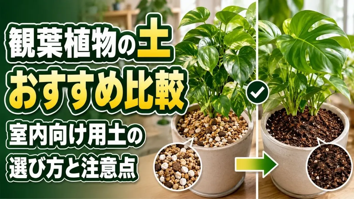 観葉植物の粒状土と有機質入り培養土を比較した室内向け用土の選び方