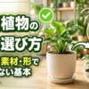 観葉植物の鉢の選び方をサイズ・素材・形で比較し、初心者向けに失敗しない基本を解説するアイキャッチ画像