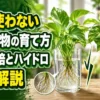 土を使わない観葉植物の育て方を、水耕栽培とハイドロカルチャーの根や培地の違いで比較した画像