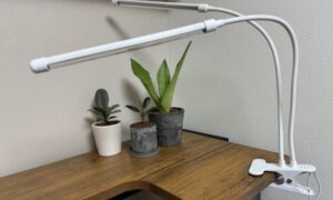 小型観葉植物3鉢にクリップ式の植物育成ライトを当てている様子