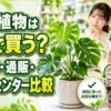 観葉植物はどこで買う？専門店・通販・ホームセンターの購入先を比較